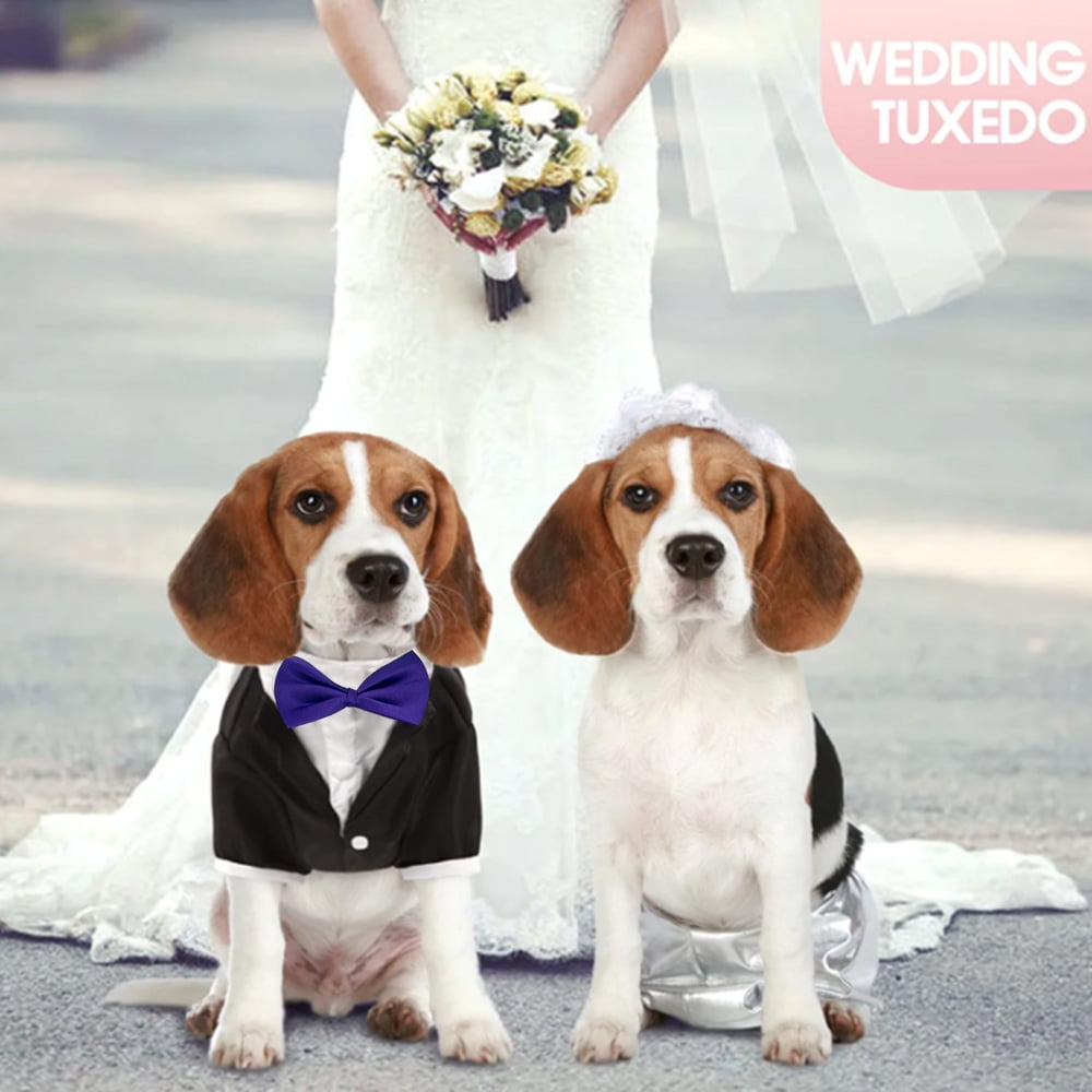 dog wedding dress